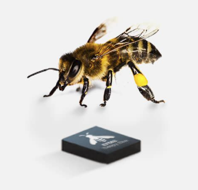 “图1：以“小蜜蜂”