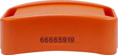 6.png
